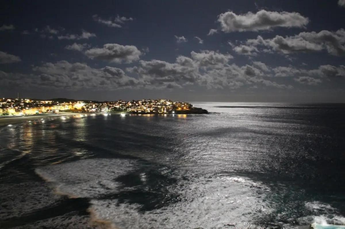 Studio Bondi Beach Sídney Exterior foto